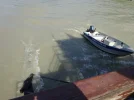 DSC00672.webp