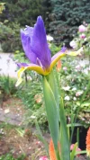 20190615_105455.webp