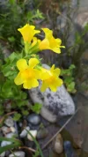 20190615_162408.webp