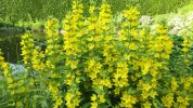 20190617_185139.webp