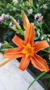 20190617_173409.webp