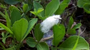 20190617_185221.webp