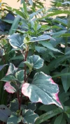 20190617_185313.webp