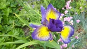 20190617_151249.webp