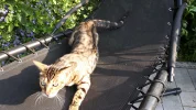 20190617_185029.webp