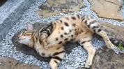 20190617_185449.webp