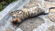 20190617_185501.webp