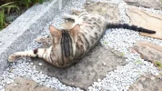 20190617_185524.webp
