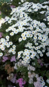 20190620_090850.webp