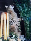 20190620_153501.webp