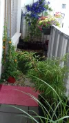 20190621_114735.webp