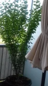 20190621_115148.webp