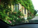 DSC01058.webp