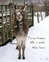 21a423d1a28640f8cf967fdc750aaf6b.webp