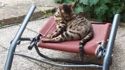 20190623_151928.webp