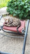 20190623_151906.webp