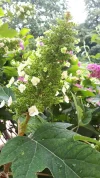 20190623_151709.webp