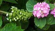 20190623_151650.webp