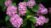20190623_151627.webp