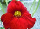 DSCN9712.webp
