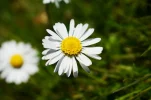 IMG_20170424_125614.webp