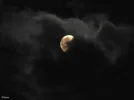 Mond_c.webp