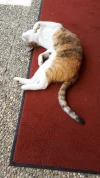 20190624_111914.webp
