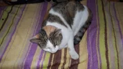 20190325_144857.webp