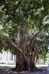 DSC_3537.webp