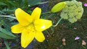 20190626_090341.webp