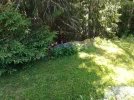 IMG_20190625_155902.webp
