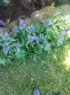 IMG_20190625_160150.webp
