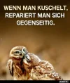 999 eulen kuscheln.webp