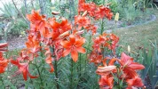 20190627_070112.webp