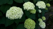 20190627_070041.webp