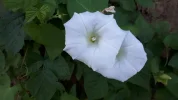 20190627_062601.webp