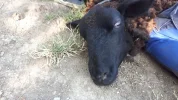 20190626_171352.webp
