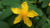 20190627_153246.webp