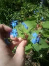 IMG_20190420_120310.webp