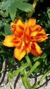 20190627_131516.webp