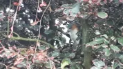 20190628_060836.webp