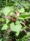 IMG_20190420_120313.webp