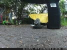 DSCF0049.webp