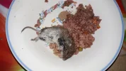 20190630_094120.webp