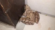 20190630_113702.webp