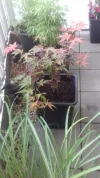 20190701_102447.webp