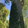 9F948C95-C02F-4D40-9813-4F76715FD1AE.webp