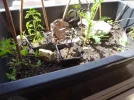 DSC01505.webp