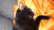 20190702_133218.webp