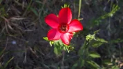 20190630_155946.webp